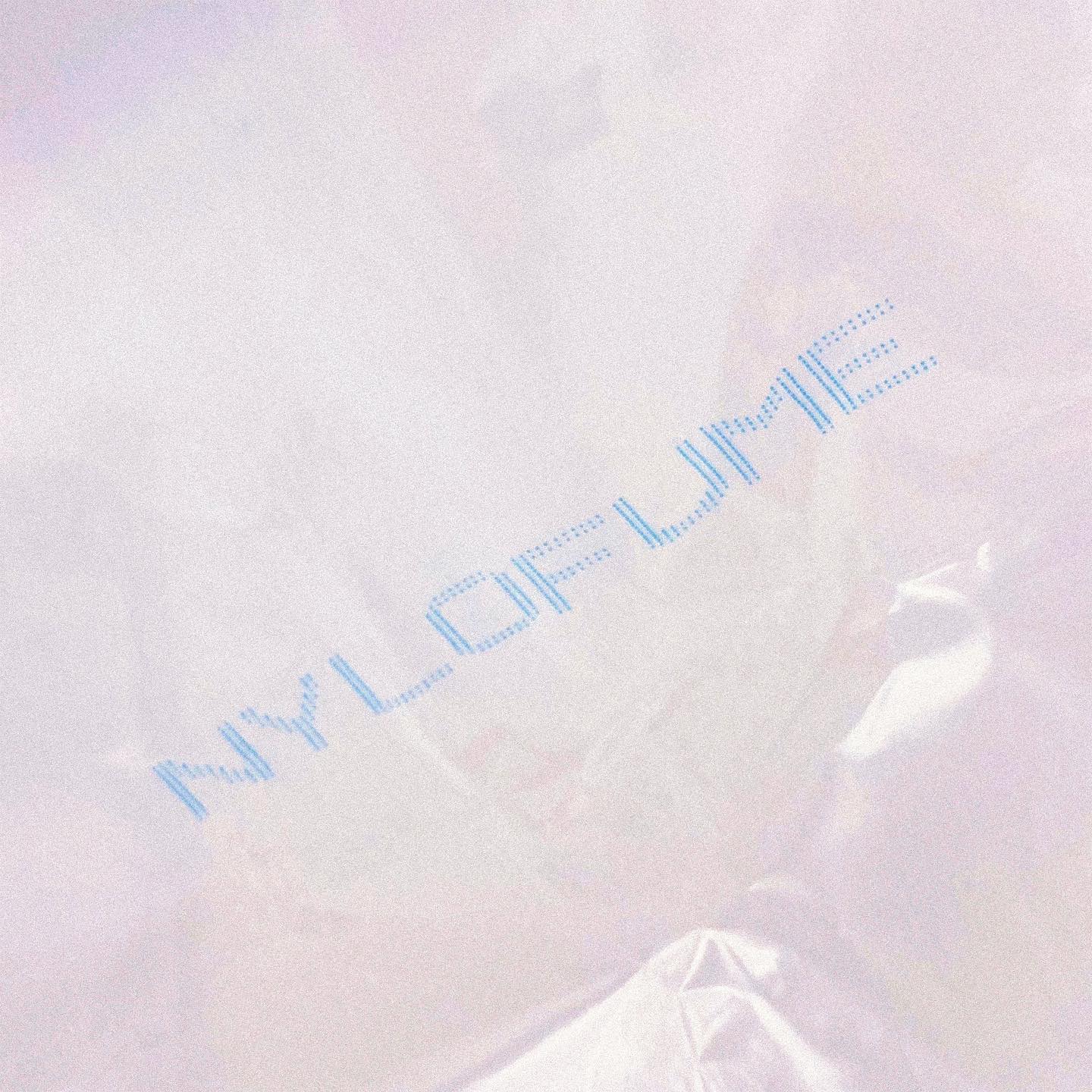 Nylofume® Pack Liner